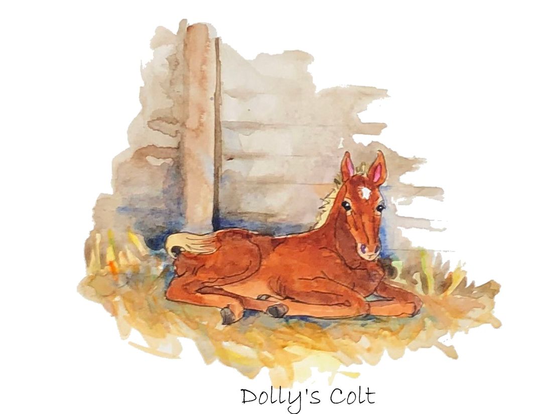 DOLLY'S FOAL