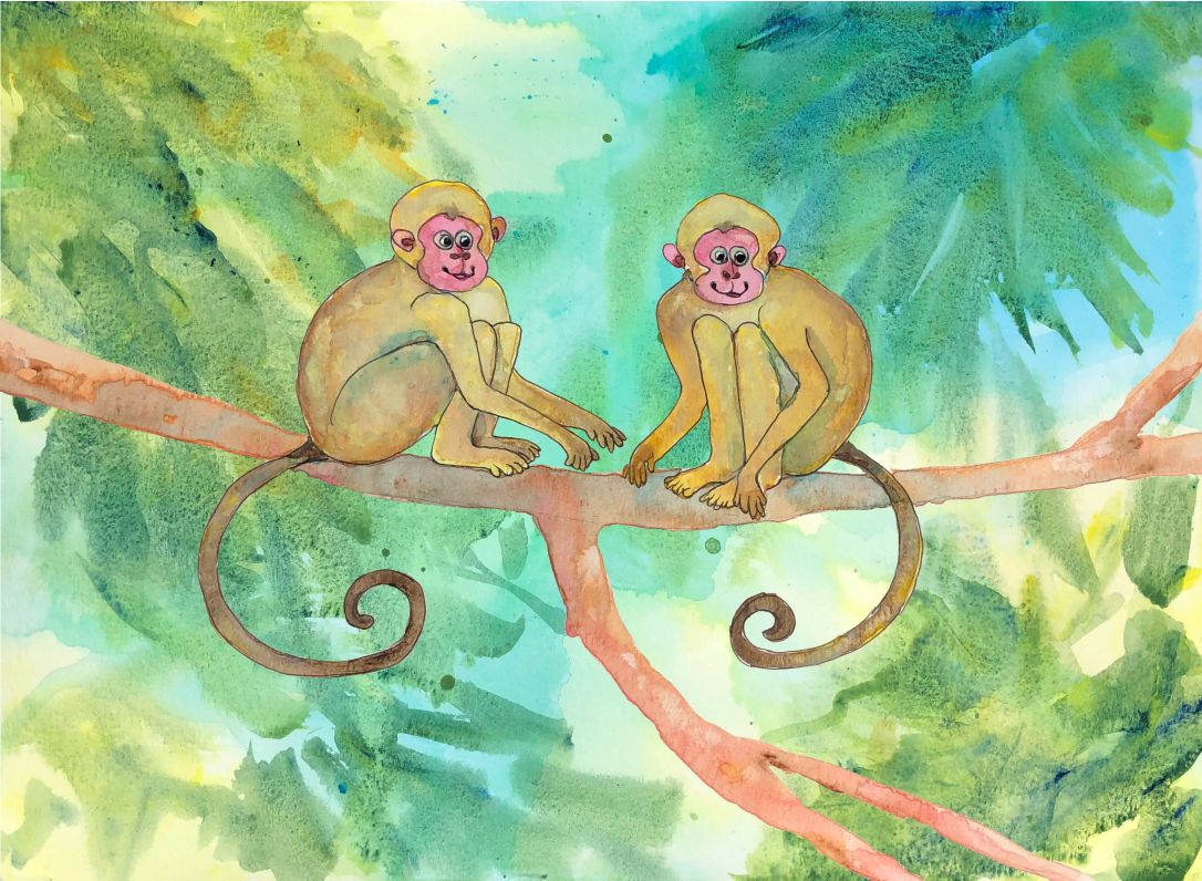 MONKEYS
