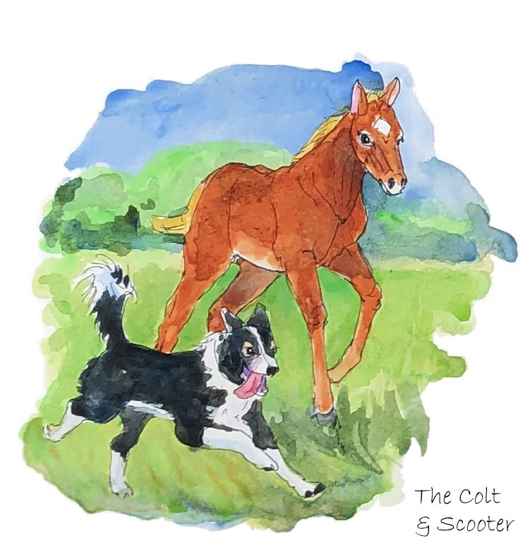 STAR &amp; SCOOTER RUNNING